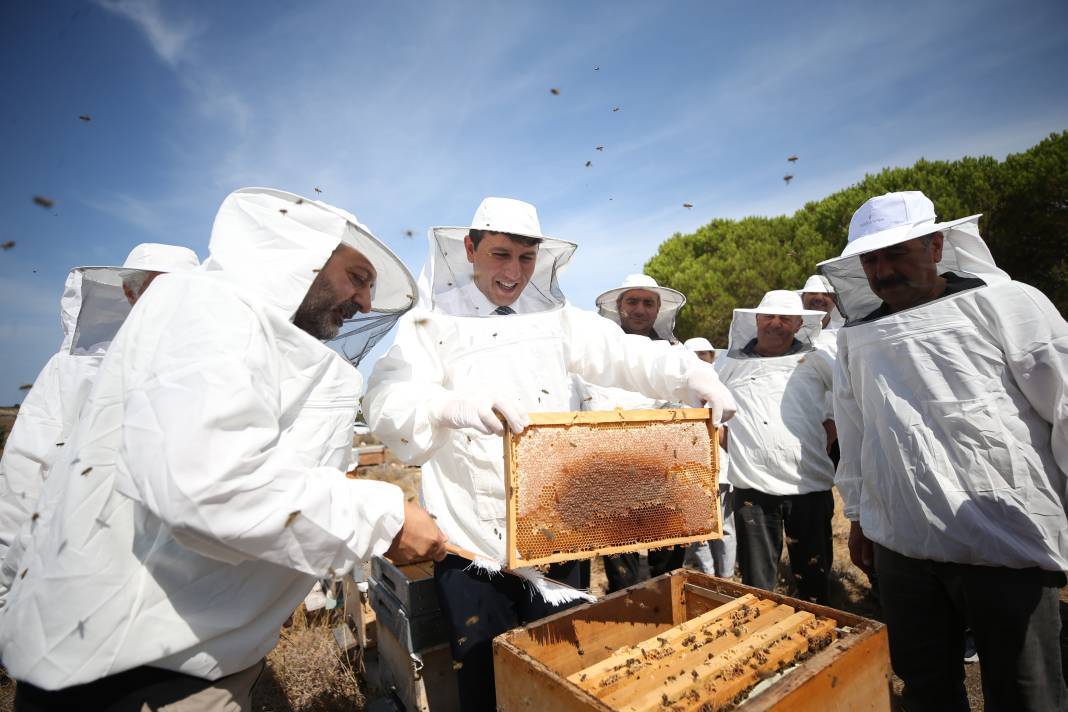 Kilosu 800 TL’den satılıyor: Hasadın ardından yurdun dört bir yanına gönderilecek 4